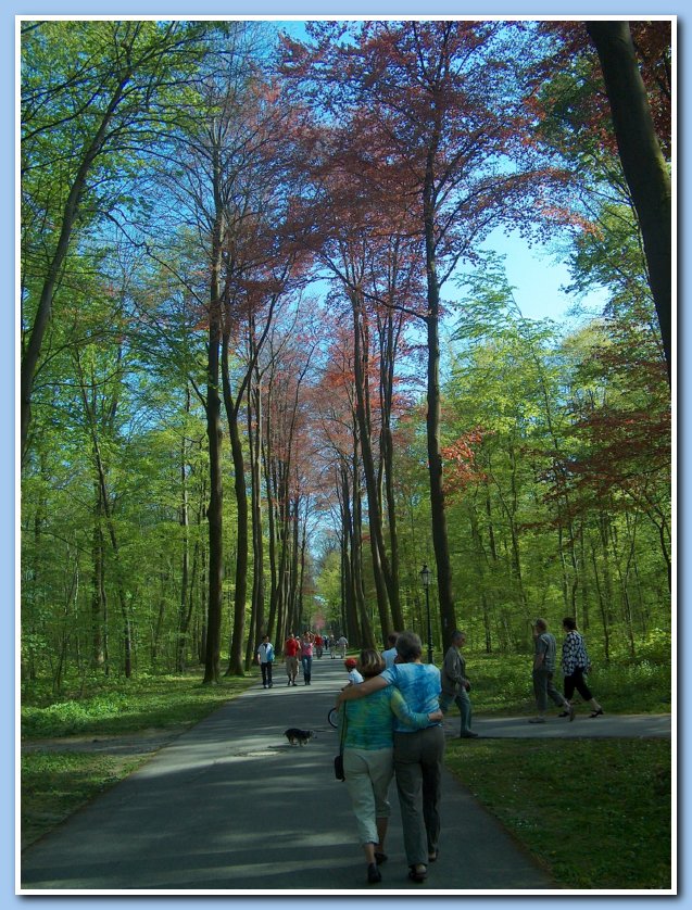 Walking through the grounds at Schloss Nordkirchen / Palace Nordkirchen